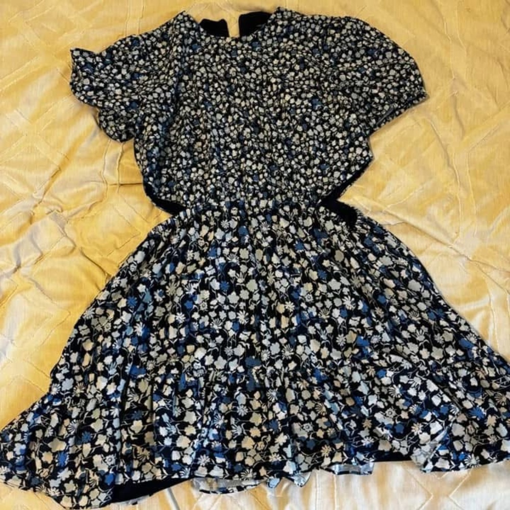 French Connection Blue Floral Dress